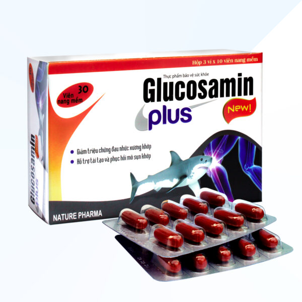 GLUCOSAMIN PLUS